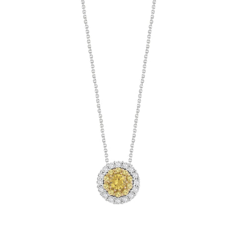 Collana PRESTIGE Bliss