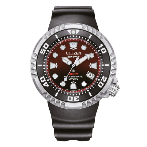 Citizen Diver's Eco Drive 300 mt